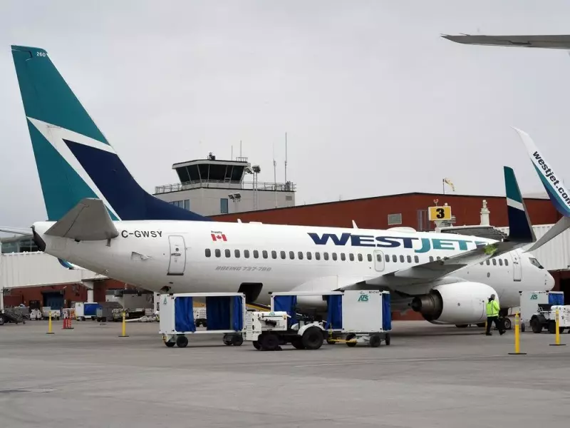Regina Couple's Cramped WestJet Flight Raises Safety Alarms Over New Seats