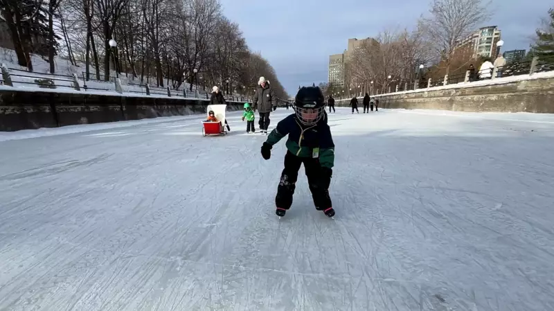 Rideau Canal Skateway Opens Extended Section, Delighting Ottawa Skaters and Businesses