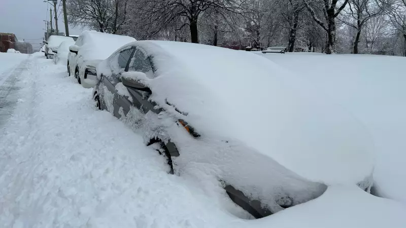 Saint John Implements Overnight Parking Ban in Key Areas Following Heavy Snowfall