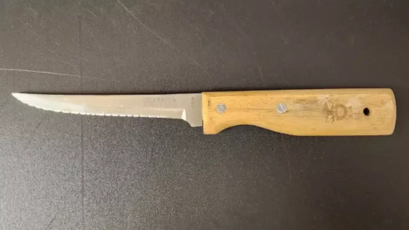 Sarnia Police Arrest Suspect Following Alleged Knife Threat and Sexual Demands