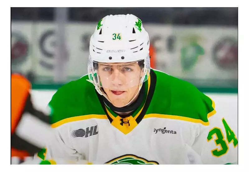 Sarnia Sting Defeat London Knights 5-1 in New Year's Eve OHL Showdown