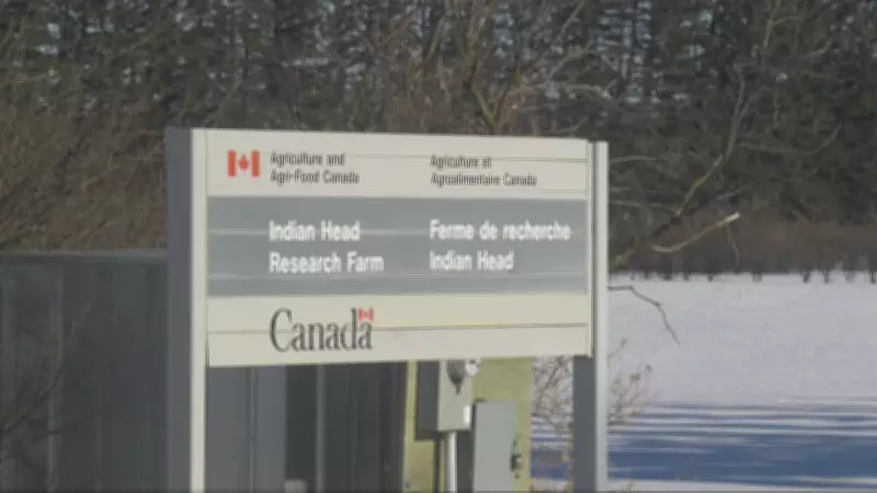 Saskatchewan Farm Groups Sound Alarm Over Federal Research Farm Closures