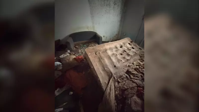 Saskatoon Rescue Removes 15 Cats from Condemned Home, 'Smell Indescribable'