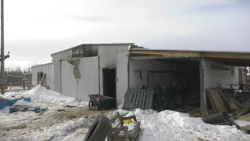 Sherwood Park Horse Rescue Faces $15K Loss After Shed Fire