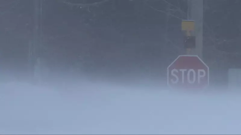 Snow Squall Alerts Issued for Simcoe County, Visibility Near Zero