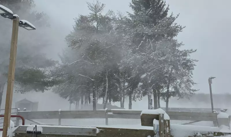 Snow Squall Warnings Issued for Sudbury and Sault Ste. Marie in Northern Ontario