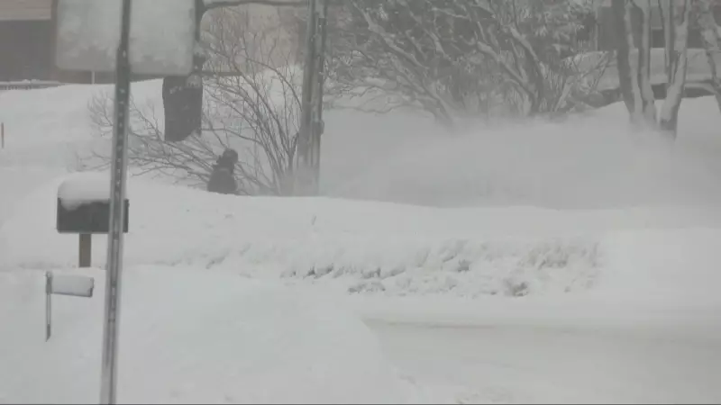 Snow Squall Warnings Persist Across Multiple Ontario Regions