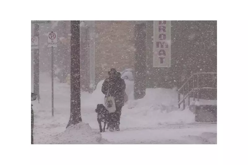 Snowfall Warning Issued for London Region as Winter System Moves Through