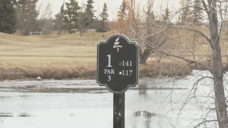 Southern Alberta's Unseasonably Warm January Could Shift Soon, Forecasters Warn