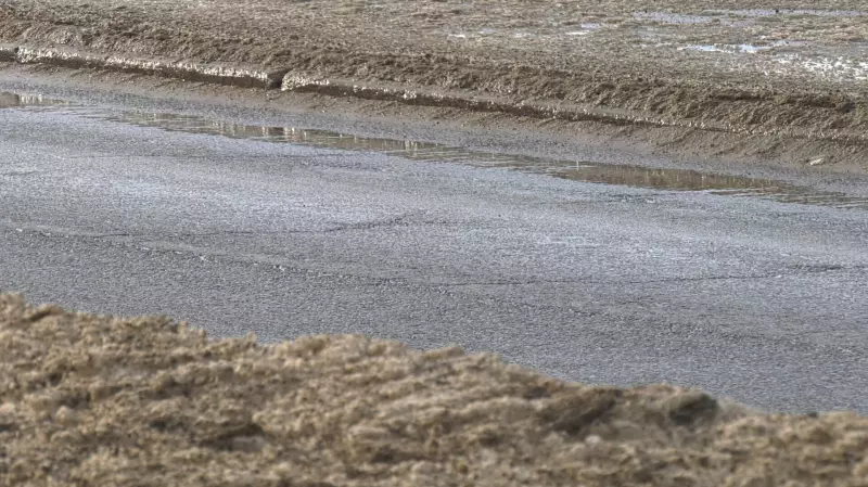Southern Saskatchewan's Warm Spell Masks Winter Dangers on Roads and Sidewalks