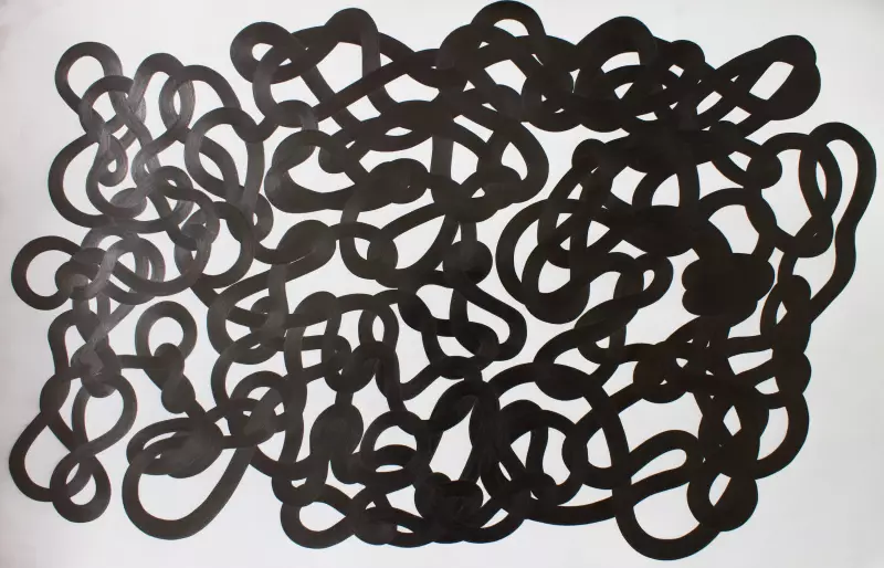 St. Albert Art Gallery Unveils 'Knotty Enigmas' Exhibition on Trauma and Healing