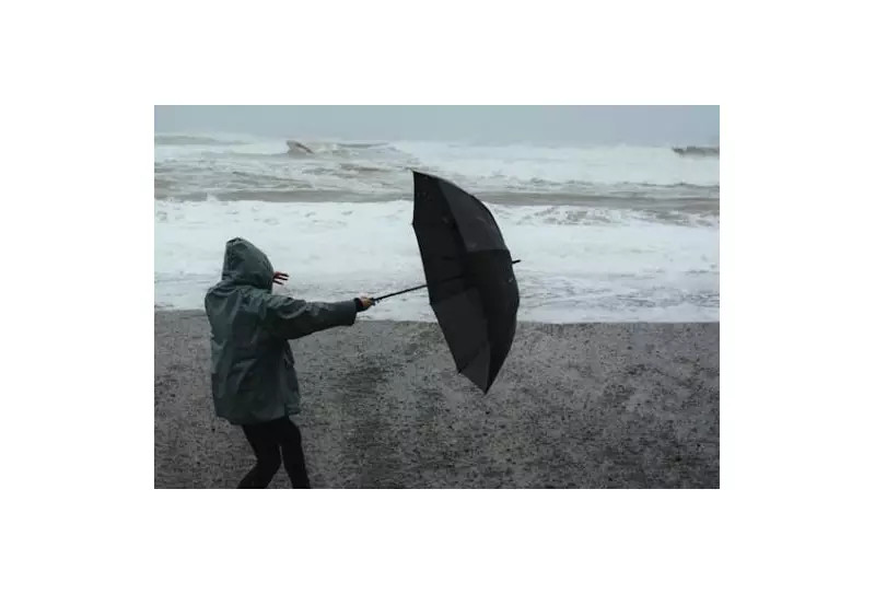 Strong Wind Warnings Issued for Southwestern Ontario on January 9