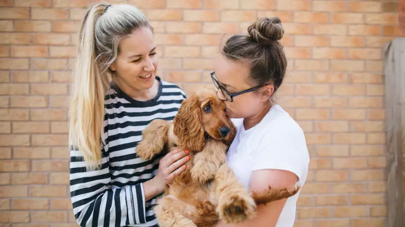 Study Reveals 'Gifted' Dogs Learn Words Like Toddlers Through Eavesdropping