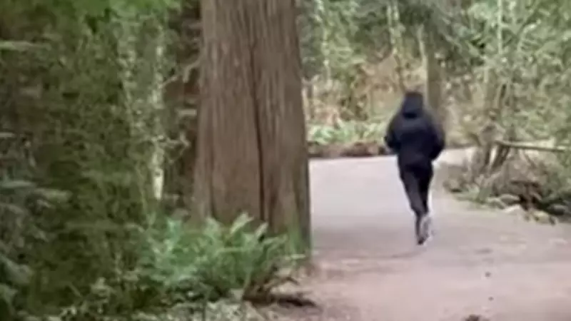 Sunshine Coast RCMP Release Video of Indecent Exposure Suspect Fleeing Trail Incident