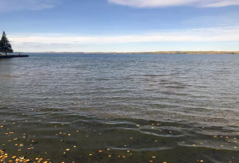 Sylvan Lake Weighs Town vs. City Status: Alberta Community Debates Future