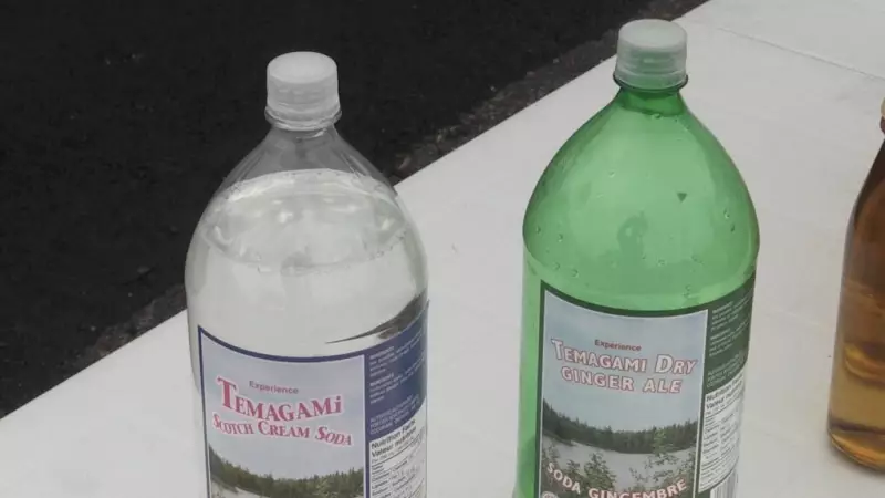 Temagami Municipality Acquires Rights to Namesake Soft Drink 'Temagami Dry'