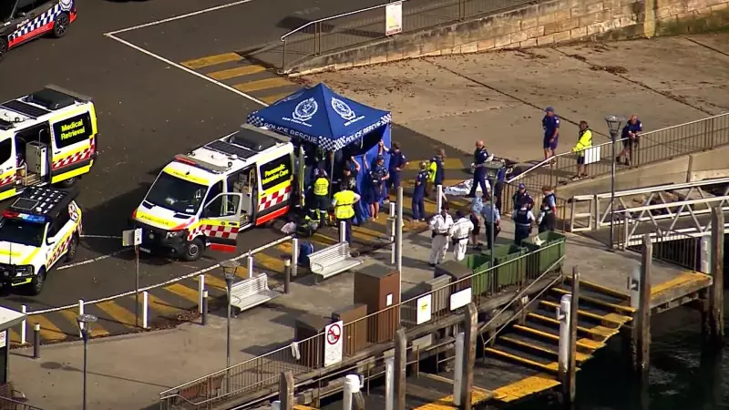 Three Shark Attacks in 26 Hours Leave Two Critical in Sydney Harbour
