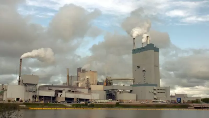 Thunder Bay Pulp and Paper Ends Newsprint Production, Affecting Up to 150 Workers