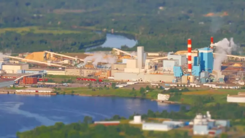 Thunder Bay Pulp and Paper to Cease Newsprint Production, Affecting 150 Jobs