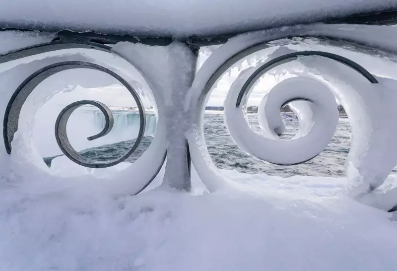 Toronto Braces for Cold Snap with Snow Squall Warnings Issued for GTA