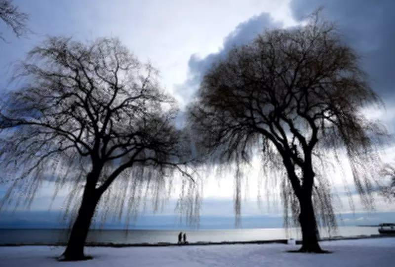 Toronto Braces for Extreme Wind Chill: Feels Like -32 Tonight as Arctic Air Lingers