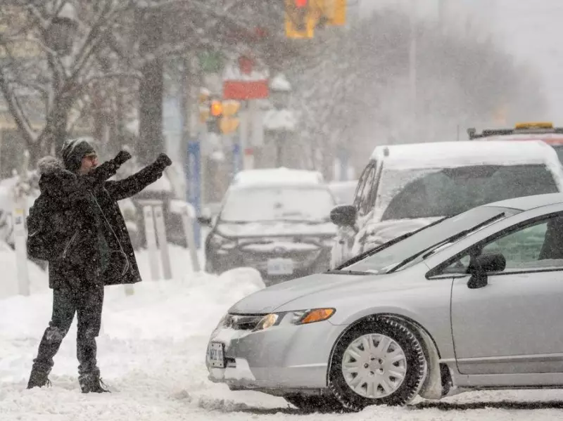 Toronto Braces for Major Winter Storm: Up to 30 cm Snow and -40°C Temperatures