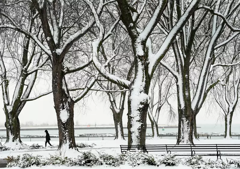 Toronto Braces for -24°C Wind Chill as Arctic Blast Intensifies Across Canada