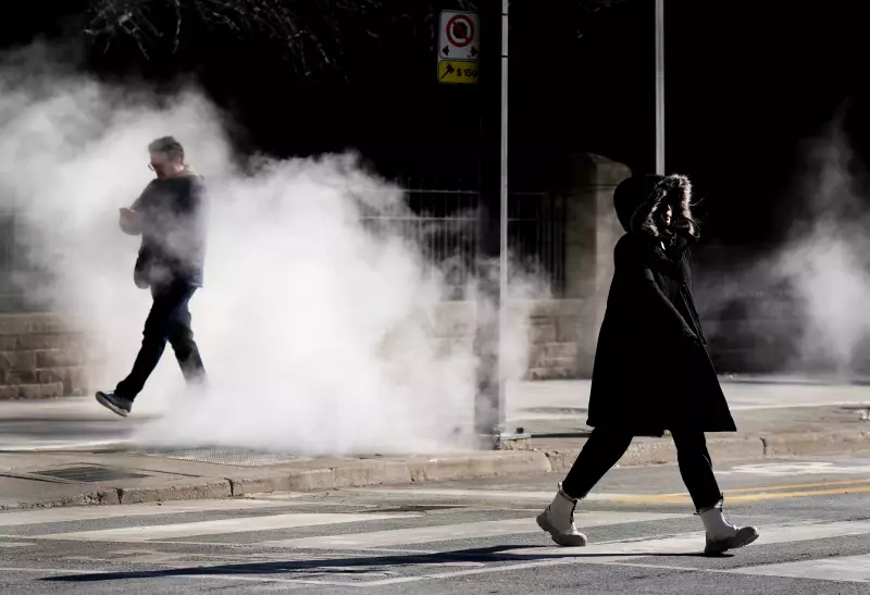 Toronto Faces Extreme Cold: Wind Chill Dips to -30°C, Prompting Warnings