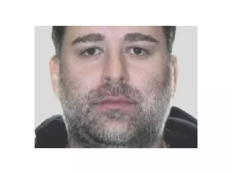 Toronto Man Accused of Laundering for Drug Empire Fights Extradition in Bail Hearing