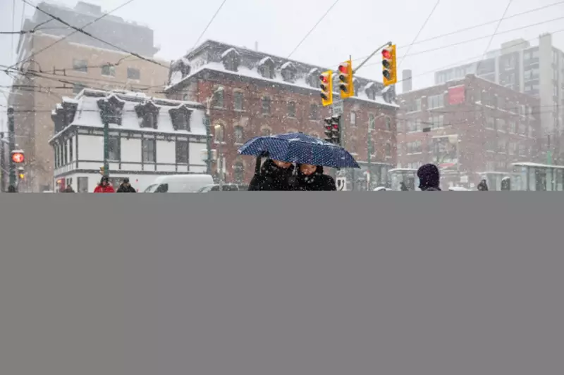 Toronto Schools Shut Down After Historic Snowstorm Blankets City