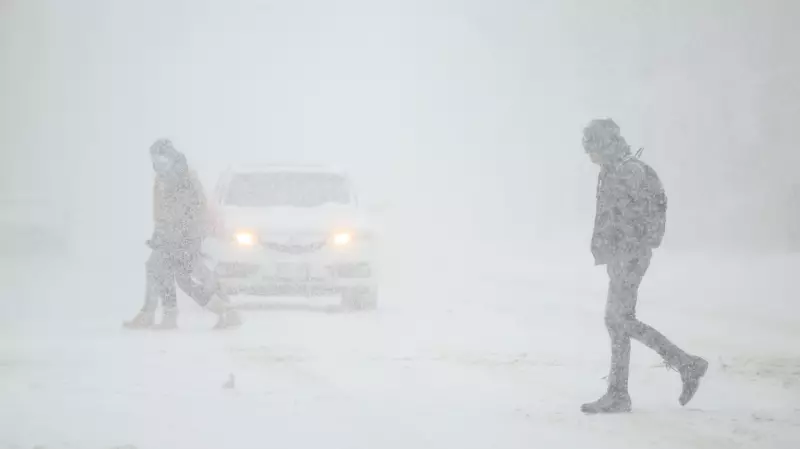 Toronto Shatters Single-Day Snowfall Record as Historic Winter Storm Wallops City
