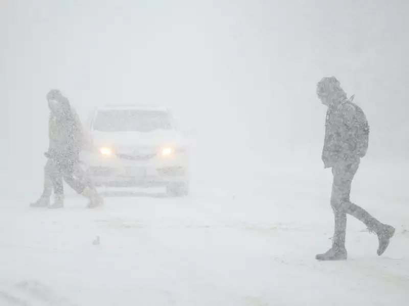 Toronto Snow Removal Timeline: City Officials Detail Multi-Day Cleanup After Major Storm