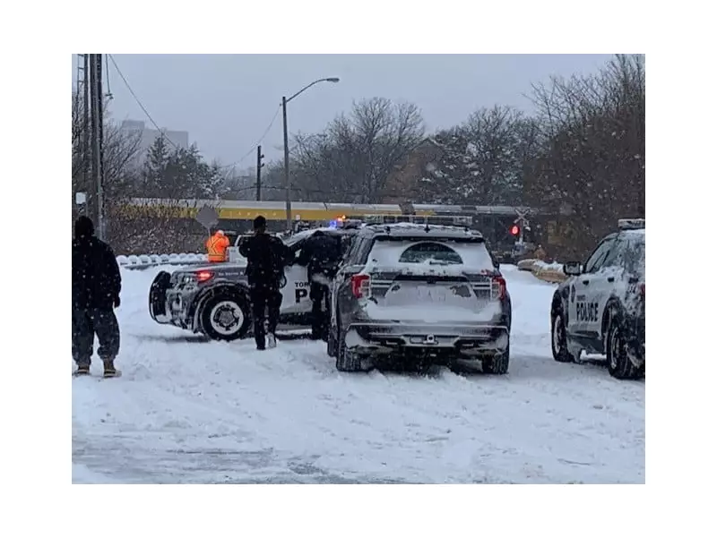 Toronto Snowfall Warning Lifted, But More Snow Expected Friday