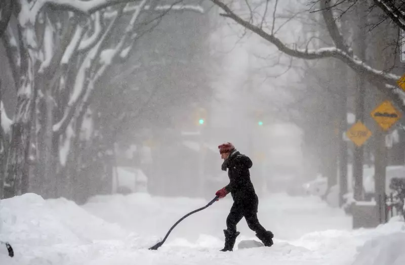 Toronto Snowstorm Cleanup Continues as More Snow Forecast for Friday