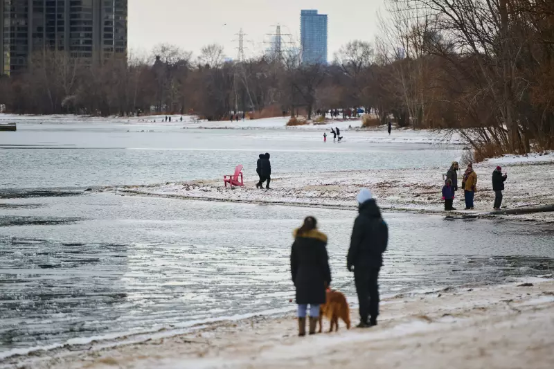 Toronto's Cold Warning Lifts, But Brisk Conditions Persist Through Week