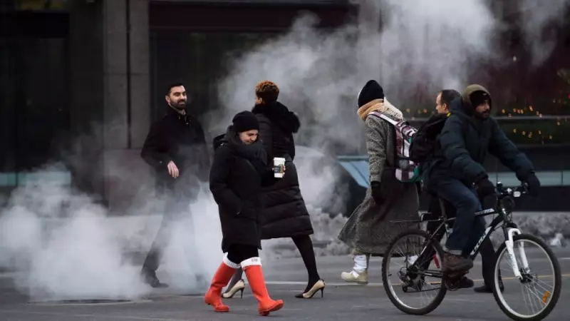 Toronto's January Warm-Up: Temperatures Soar Above Seasonal Norms