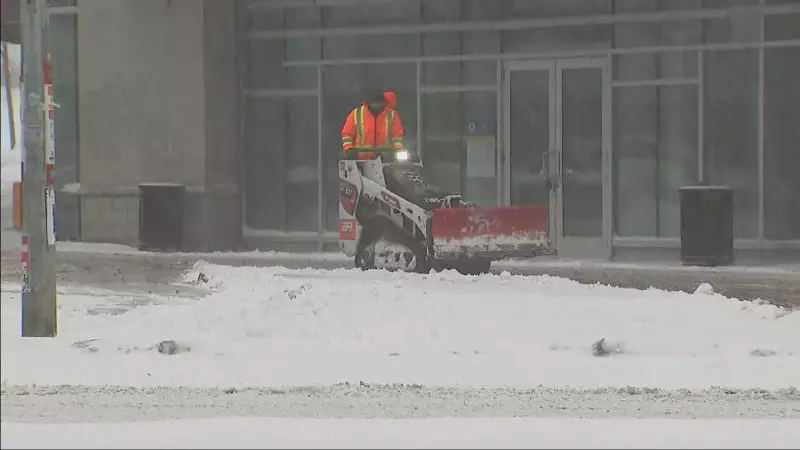 Toronto's Massive Winter Storm Cleanup: City Crews Tackle Record Snowfall