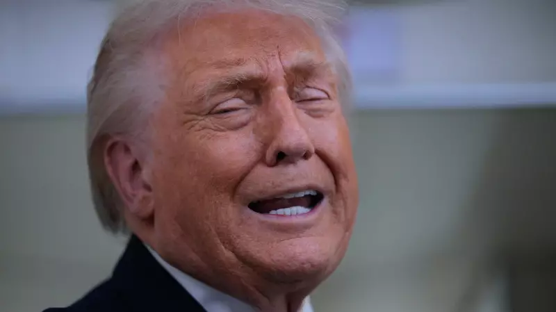 Trump Suggests Invoking NATO Article 5 for U.S. Border Security, Questions Alliance Commitment