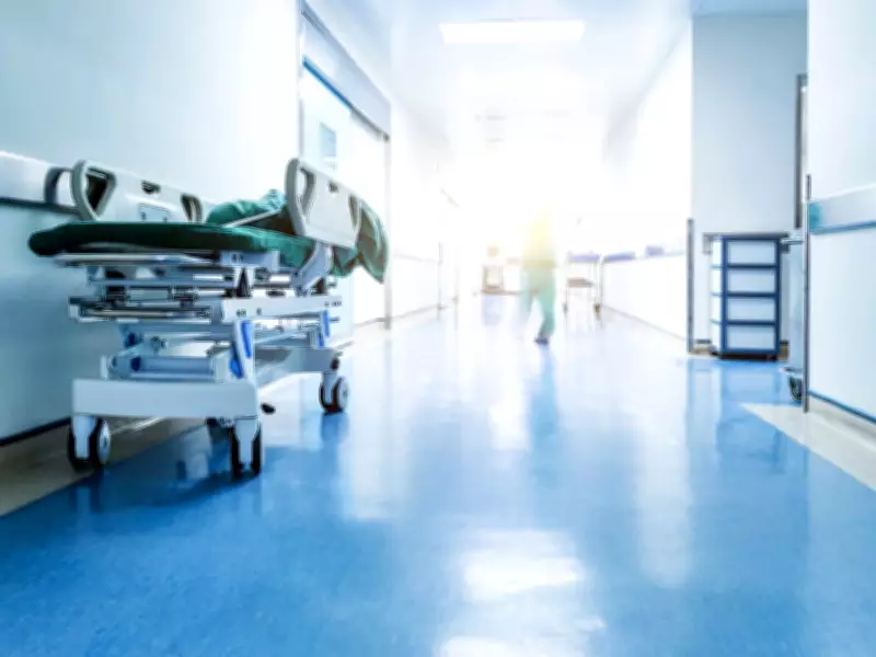 U.K. Researchers Warn U.S. Tariffs Could Harm Public Health in Canada