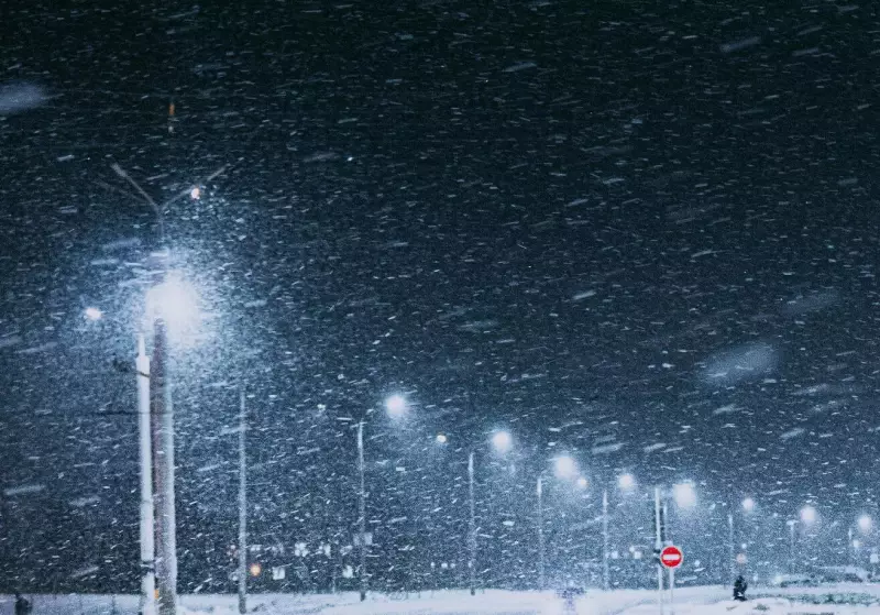 Up to 40 cm of Snow Forecast for Parts of Southern Ontario