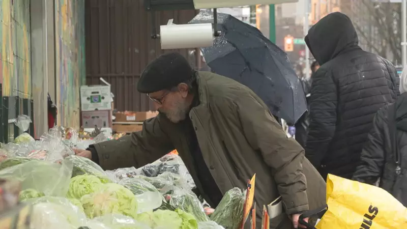 Vancouver Considers Using Tax Dollars to Buy Grocery Stores