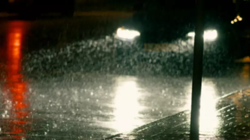 Vancouver Driver Loses Tribunal Case Over 'Unsafe Pedestrian Acts' Claim