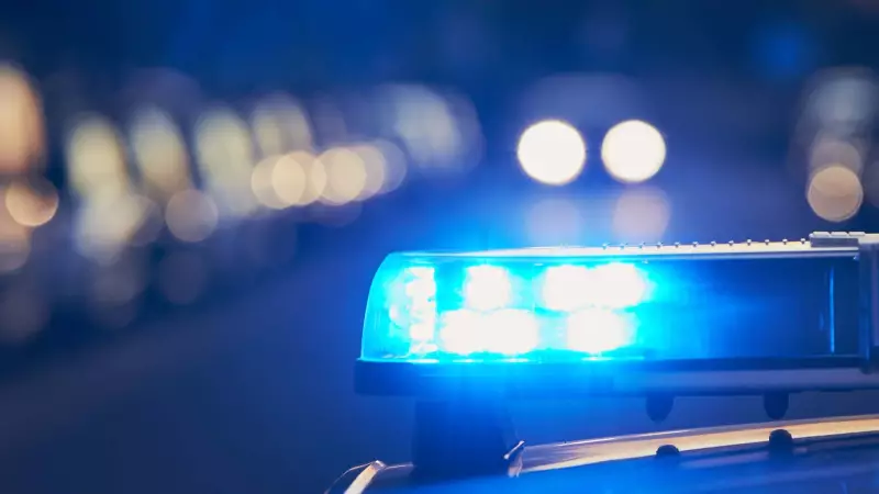 Vehicle Crashes into Detroit Metro Airport Terminal in Windsor Incident