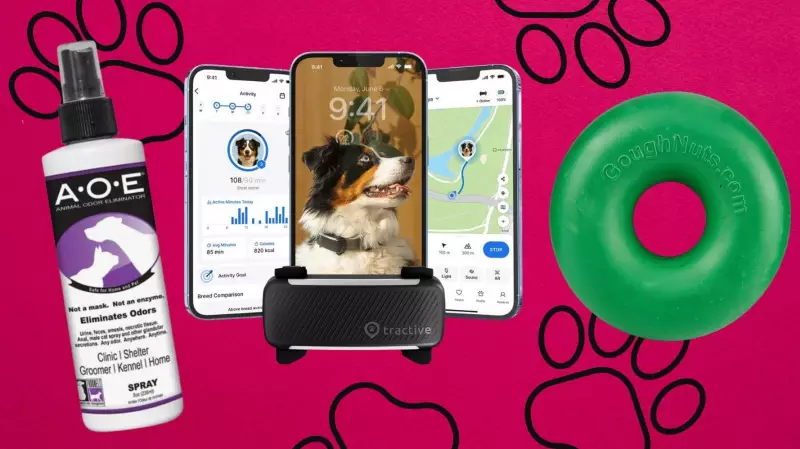 Veterinarians Reveal Must-Have Pet Products: From GPS Collars to Odor Eliminators