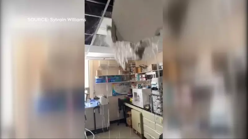 Water Pipe Burst at Montreal's Douglas Hospital Floods Critical Research Labs