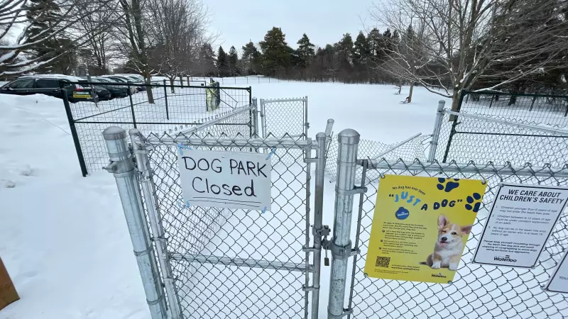 Waterloo Dog Park Reopens This Week After Closure, Community Relieved
