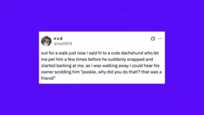 Weekly Roundup: The Funniest Pet Posts That Will Make You Howl