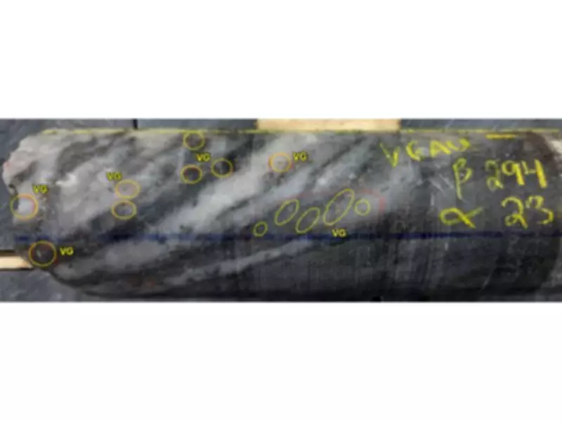 West Red Lake Gold Confirms High-Grade Gold Continuity at Rowan Project in Ontario