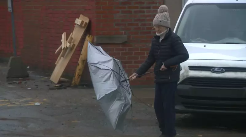 Wind Alert Issued for Montreal Evening, Major Damage Reported