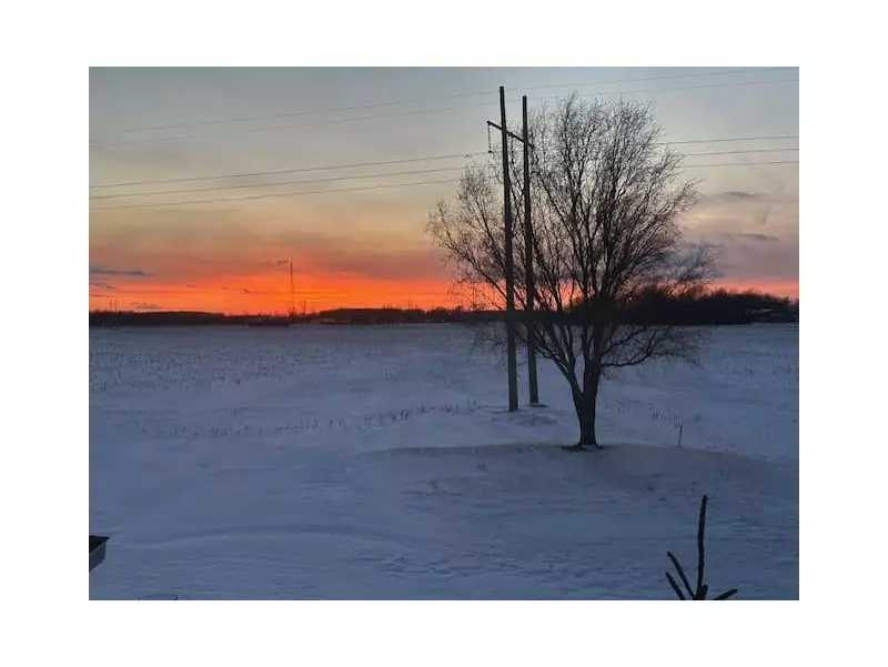 Windsor Braces for More Snow and Frigid Temperatures in Latest Forecast